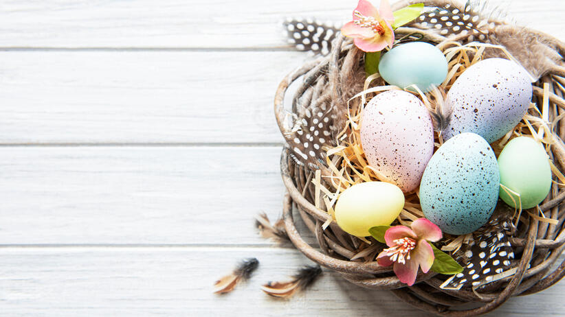 Easter,Background,With,Colorful,Eggs,In,Nest,On,A,White